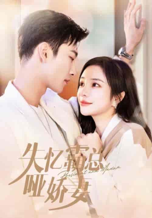 失忆霸总哑娇妻（40集全）霍云霆＆乔妍-紫橙资源网