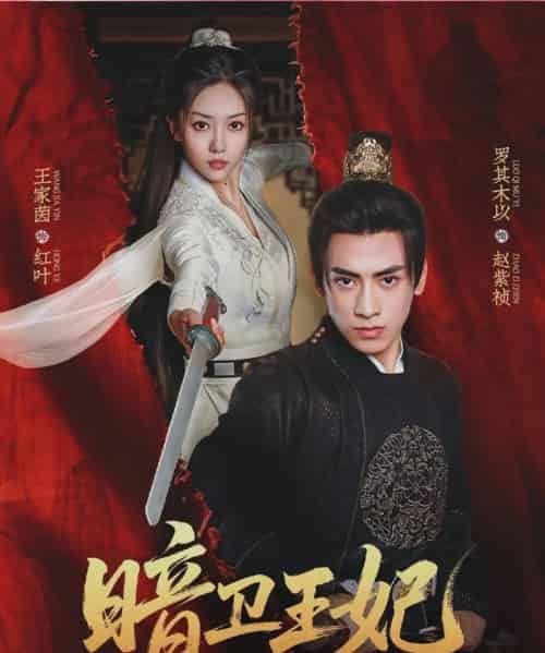 暗卫王妃（60集）王家茵＆罗其木以 - 紫橙短剧