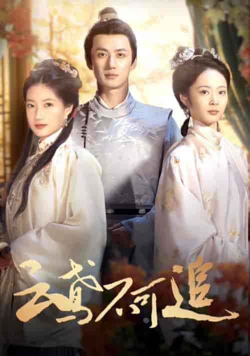 云鸢不可追(42集全)陈政阳&兰岚-紫橙资源网