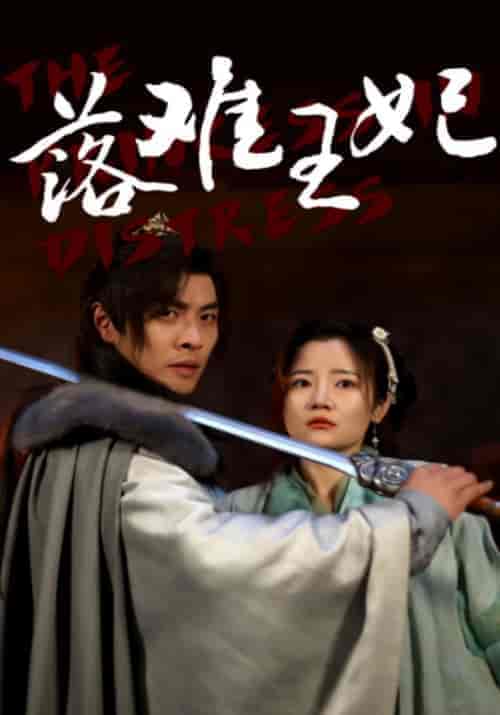 落难王妃（70集）-紫橙资源网