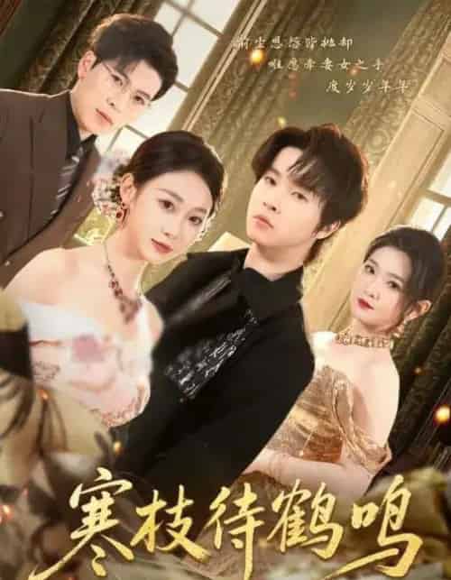 寒枝待鹤鸣(70集全)鲁紫萱&邓嘉伦-紫橙资源网