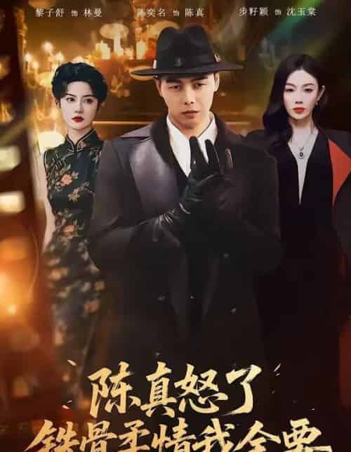 陈真怒了铁骨柔情我全要（74集全）陈奕名＆黎子舒-紫橙资源网