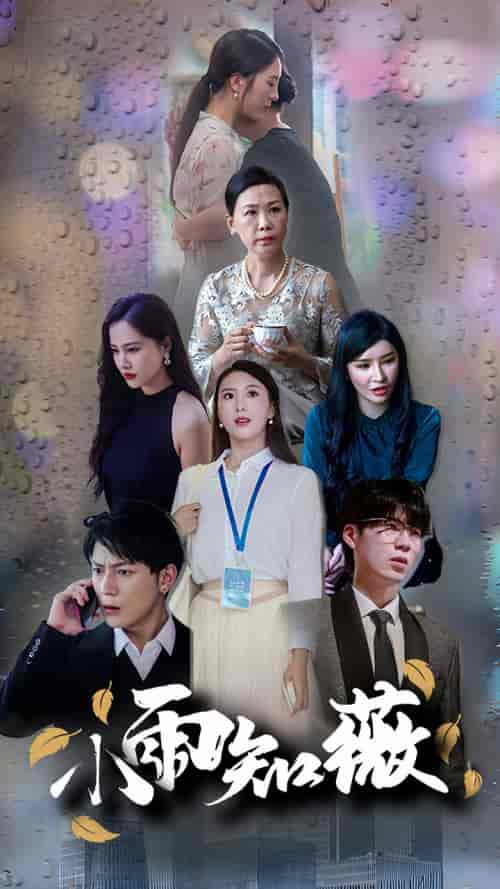 小雨知薇(80集)-紫橙资源网