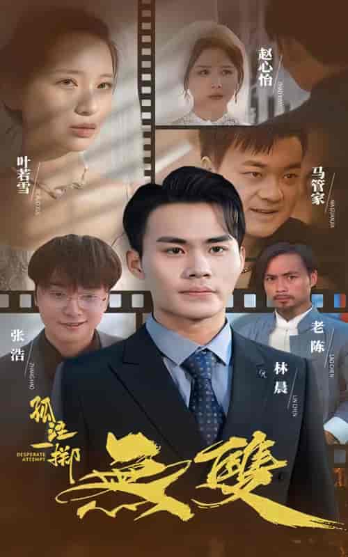 孤注一掷之无双（100集）-紫橙资源网