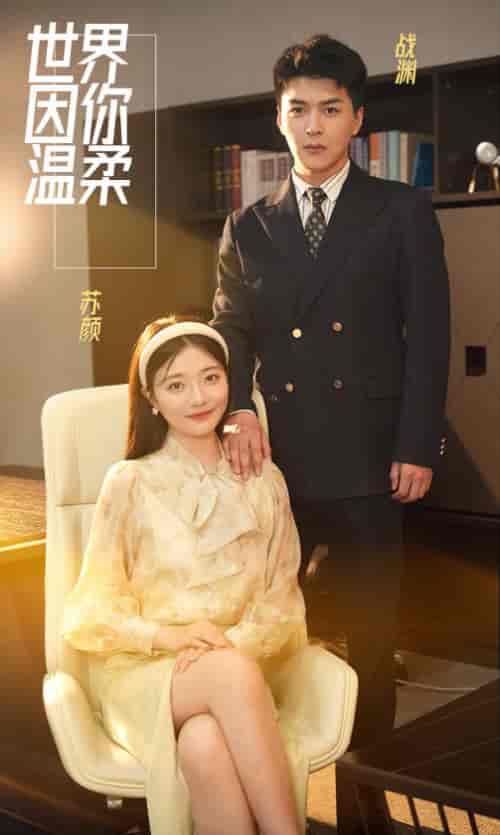 世界因你温柔(86集)-紫橙资源网