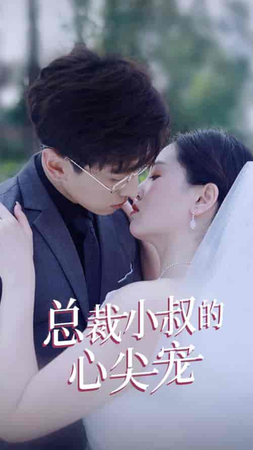 总裁小叔的心尖宠(80集)-紫橙资源网