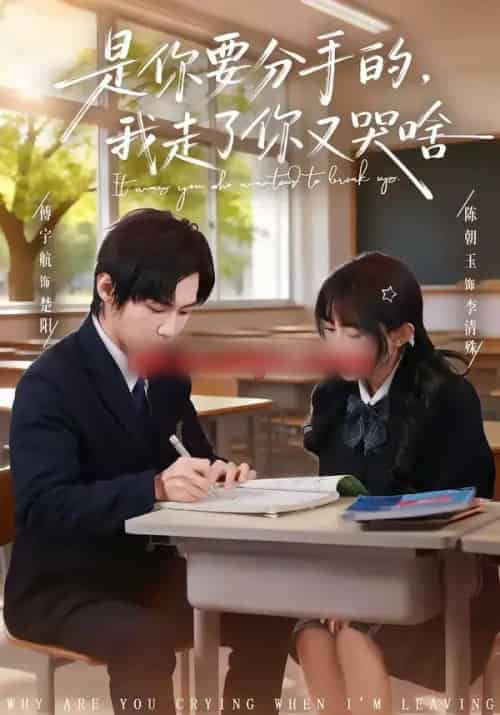 是你要分手的，我走了你又哭啥（83集全）傅宇航＆陈朝玉-紫橙资源网