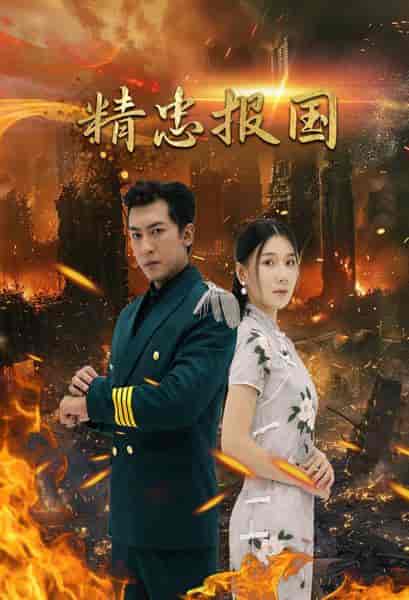 精忠报国（61集）-紫橙资源网