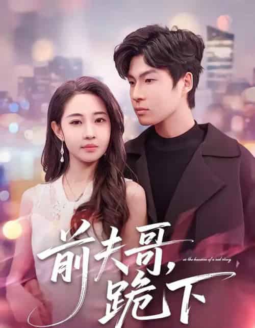 前夫哥,跪下(58集全)米乐妮&鲁文涵-紫橙资源网