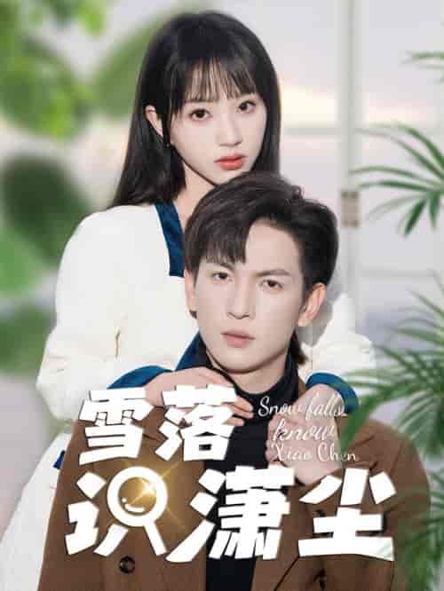 雪落识潇尘(80集) - 紫橙短剧