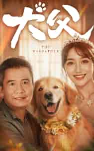 犬父（40集）-紫橙资源网