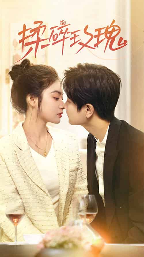 揉碎玫瑰（40集全）杨佳乐-紫橙资源网