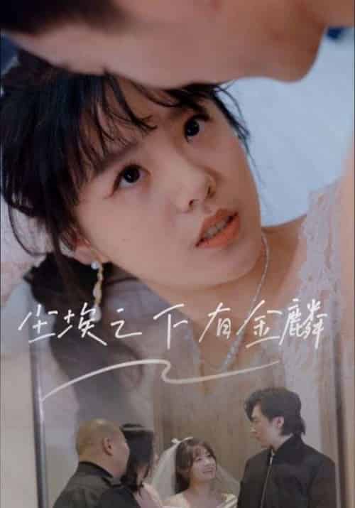 尘埃之下有金鳞（60集）汪晓彤-紫橙资源网