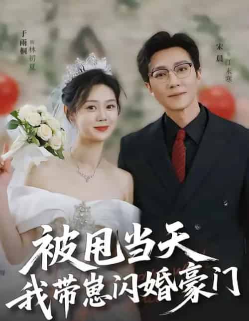 被甩当天我带崽闪婚豪门（70集全）宋晨＆于雨桐-紫橙资源网