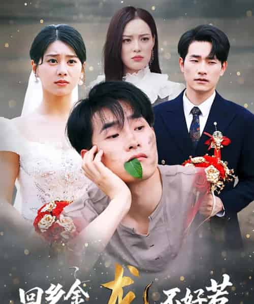 回乡金龙不好惹（74集）薛海威＆徐海文-紫橙资源网