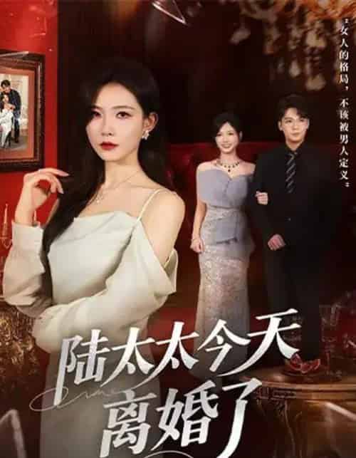 陆太太今天离婚了（59集全）刘灿＆丁敬一 - 紫橙短剧