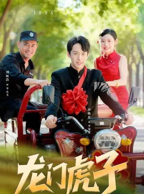 龙门虎子（72集全）-紫橙资源网