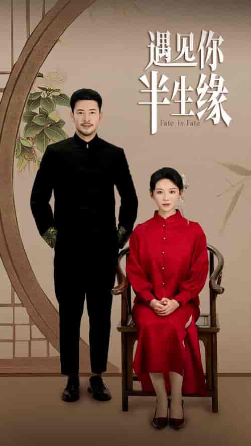 遇见你半生缘（65集全）-紫橙资源网