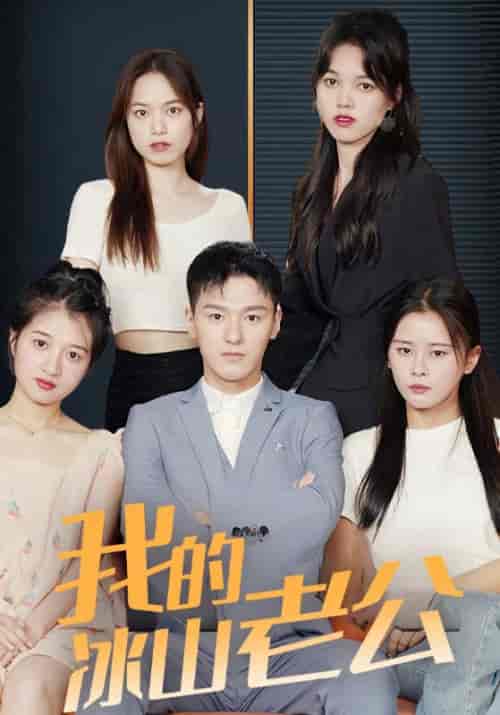 我的冰山老公(92集全)叶一凡&贺双双-紫橙资源网