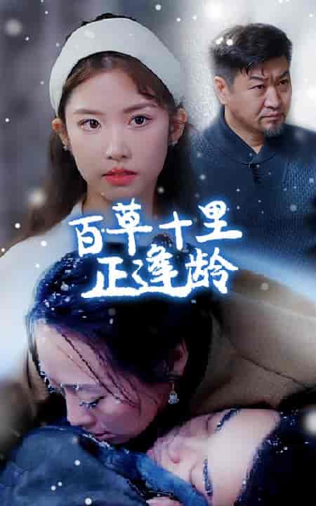 百草十里正逢龄（40集全）-紫橙资源网