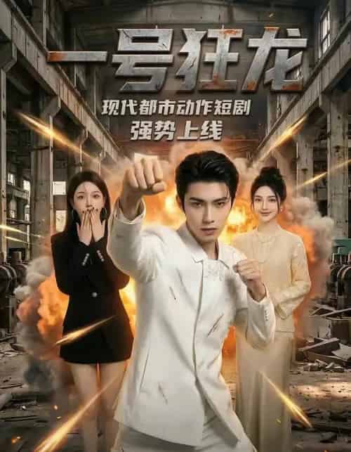 一号狂龙（81集全）AI-紫橙资源网