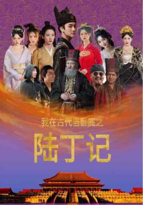 我在古代当卧底之陆丁记（97集全）-紫橙资源网