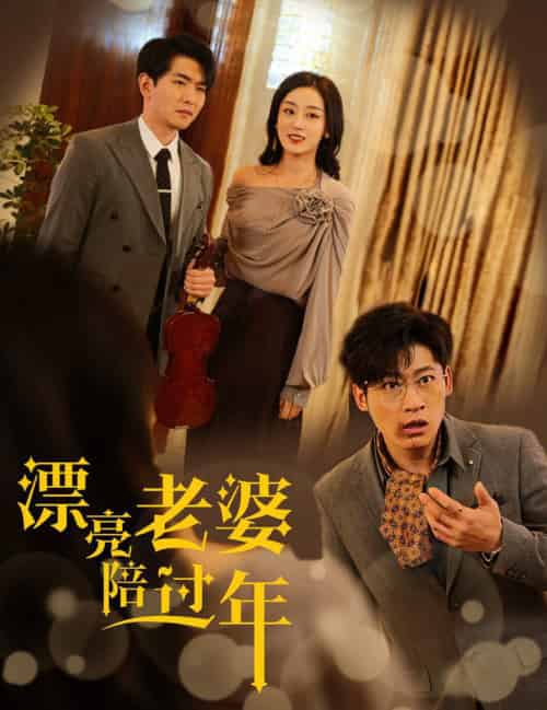 漂亮老婆陪过年＆蛇年大吉之爱情事业双丰收（60集全）张婉琳-紫橙资源网