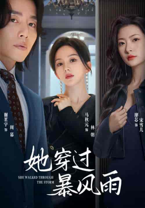 她穿过暴风雨(71集)马秋元-紫橙资源网