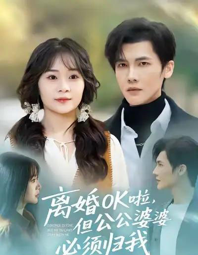 离婚OK啦，但公公婆婆必须归我（81集全）蒋辰瑞＆李雨桐-紫橙资源网