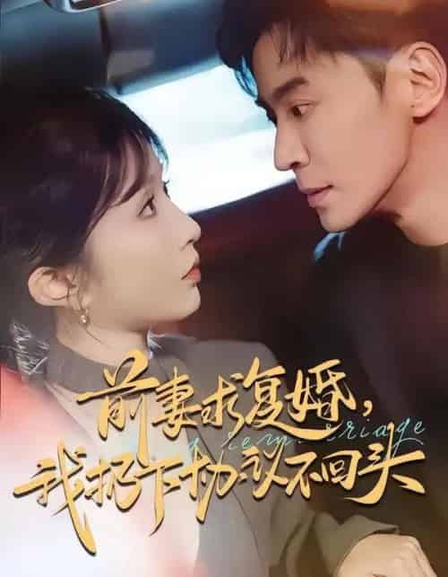 前妻求复婚,我扔下协议不回头(74集全)王璐&程七月-紫橙资源网