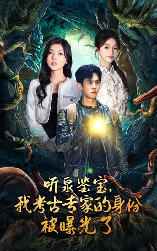 听泉鉴宝，我考古专家的身份被曝光了（62集全）-紫橙资源网