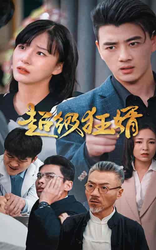 超级狂婿（81集） - 紫橙短剧