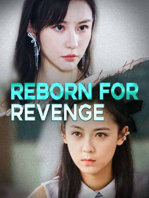 Reborn for Revenge（36 episodes）-紫橙资源网