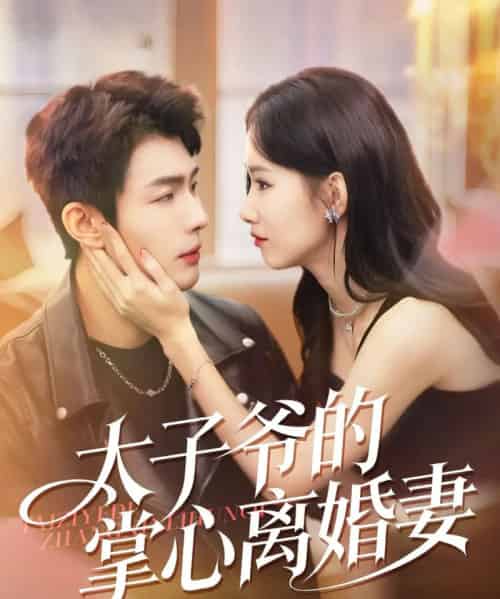 太子爷的掌心离婚妻（76集全）张培君＆杨云绚-紫橙资源网