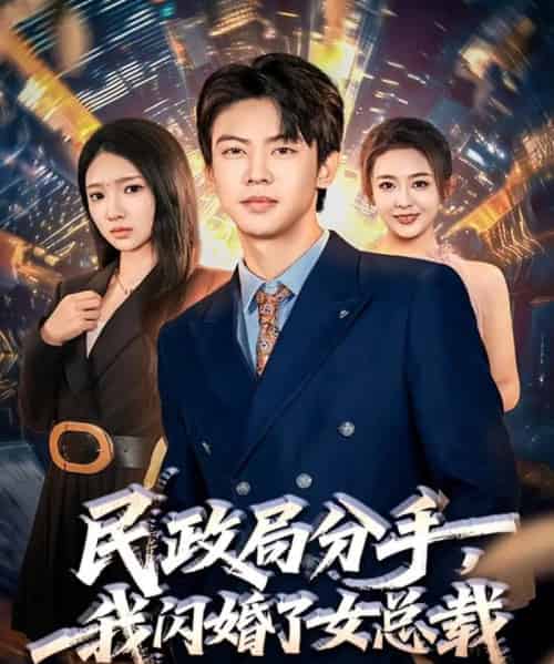 民政局分手，我闪婚了女总裁（72集全）刘相奇＆朱洙-紫橙资源网