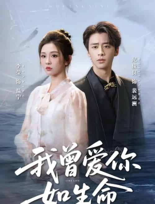 我曾爱你如生命＆宁夜向远（61集全）纪俊良＆李莹-紫橙资源网