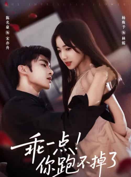 乖一点！你跑不掉了（85集全）陈名豪＆杨殊予-紫橙资源网