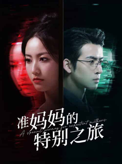 准妈妈的特别之旅（80集全）-紫橙资源网