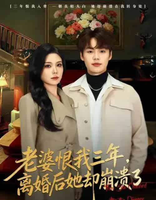 老婆恨我三年，离婚后她却崩溃了（80集全）魏森焱＆杨韩柠-紫橙资源网