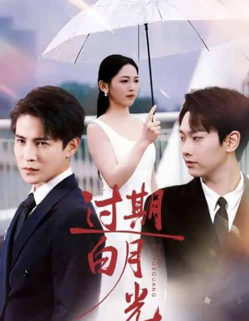 过期白月光(80集全)崔秀子&李子锋-紫橙资源网
