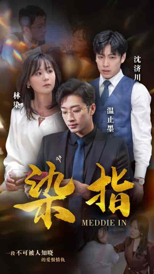 染指（100集）权笑涵-紫橙资源网