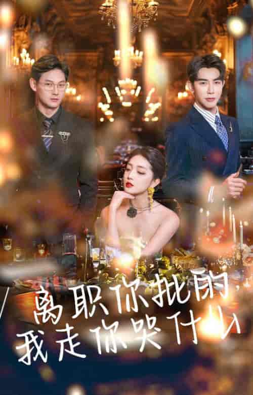 离职你批的我走你哭什么（30集全）马星烁＆赵早儿-紫橙资源网