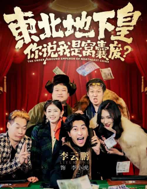 东北地下皇,你说我是窝囊废(72集全)李云鹏&郑其妙&闫佳颖-紫橙资源网