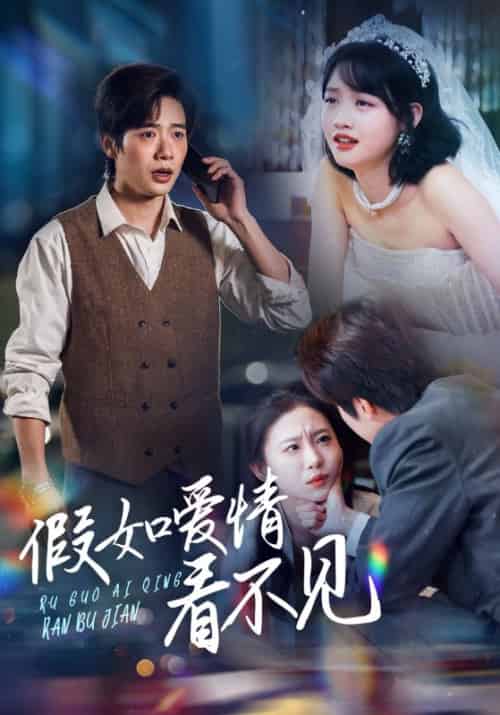 假如爱情看不见（55集全）马烁棋＆龚芳妮-紫橙资源网