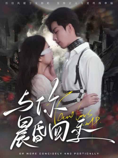 与你晨昏四季(100集全)孙志强&李欣怡-紫橙资源网