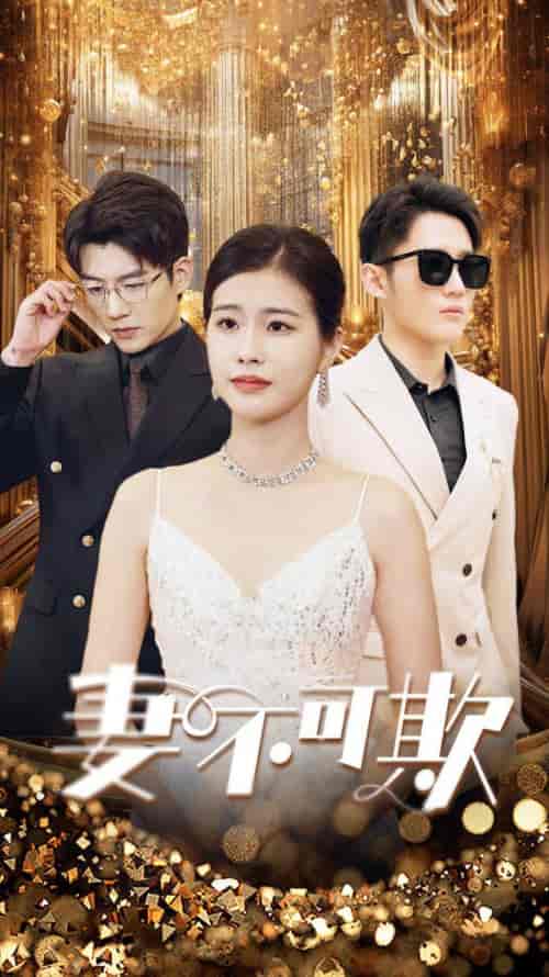 妻无可欺(85集)-紫橙资源网