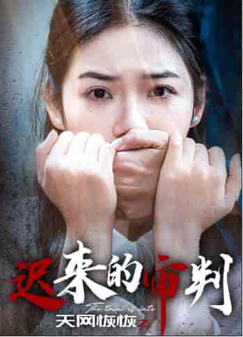 天网恢恢之迟来的审判(31集全)李艺璇-紫橙资源网