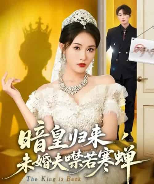 暗皇归来，未婚夫噤若寒蝉（65集全）刘星辰＆王浩-紫橙资源网