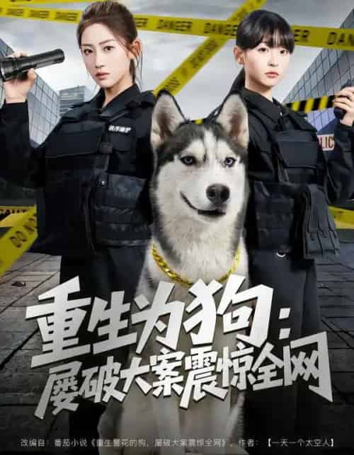 重生为狗：屡破大案震惊全网（80集全）王冰星＆范经明-紫橙资源网