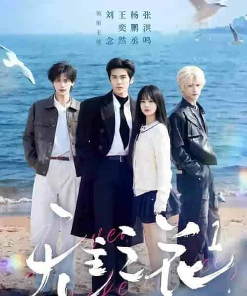 无主之花1（71集全）王奕然＆刘念＆杨鹏丞＆张洪鸣-紫橙资源网